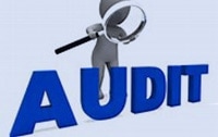 A 3D figure holding a magnifying glass examines the large, blue word AUDIT on a light background.