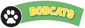 A green banner with a black circle featuring a white paw print on the left and the word BOBCATS in bold yellow and white letters on the right.