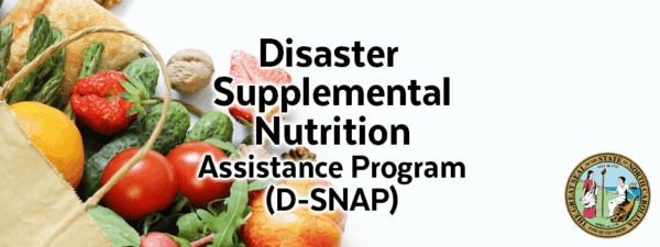 A basket of fresh produce sits next to text reading Disaster Supplemental Nutrition Assistance Program (D-SNAP) with a North Carolina state seal in the corner.