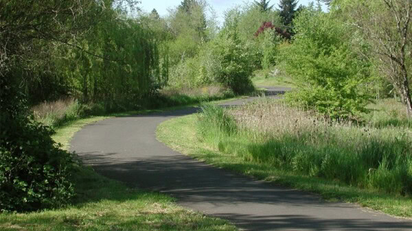 A paved path curves through a lush, green park with tall grasses, dense trees, and shrubs under a clear sky.