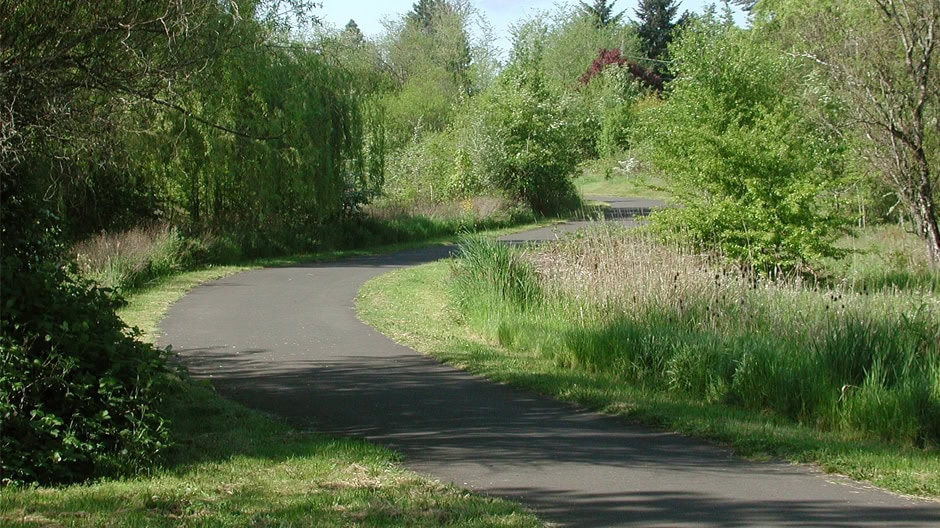 A paved path curves through a lush, green park with tall grasses, dense trees, and shrubs under a clear sky.