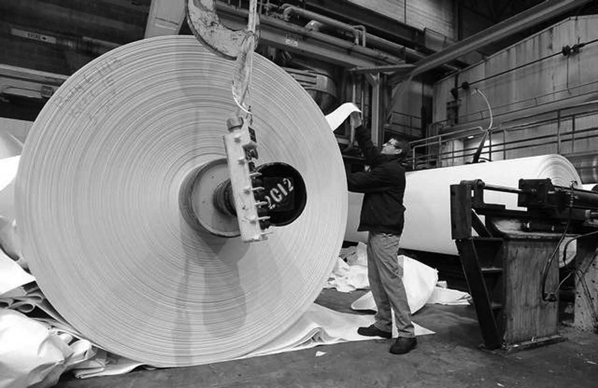 A worker stands beside a giant roll of paper in an industrial facility, adjusting the sheet as it unwinds from the machine. Large machinery and more paper rolls are visible in the background.