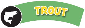 A green banner with a black circle on the left containing a white fish silhouette, and the word TROUT in bold, yellow and white letters on the right.
